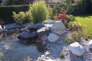 cascade d'eau qui glisse sur une pierre et qui tombe dans un bassin, jardin japonais, étang, plantations, ruissellement