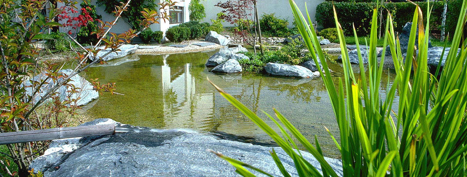 bassin miroir esprit zen création jardin japonais